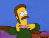 flanders.gif